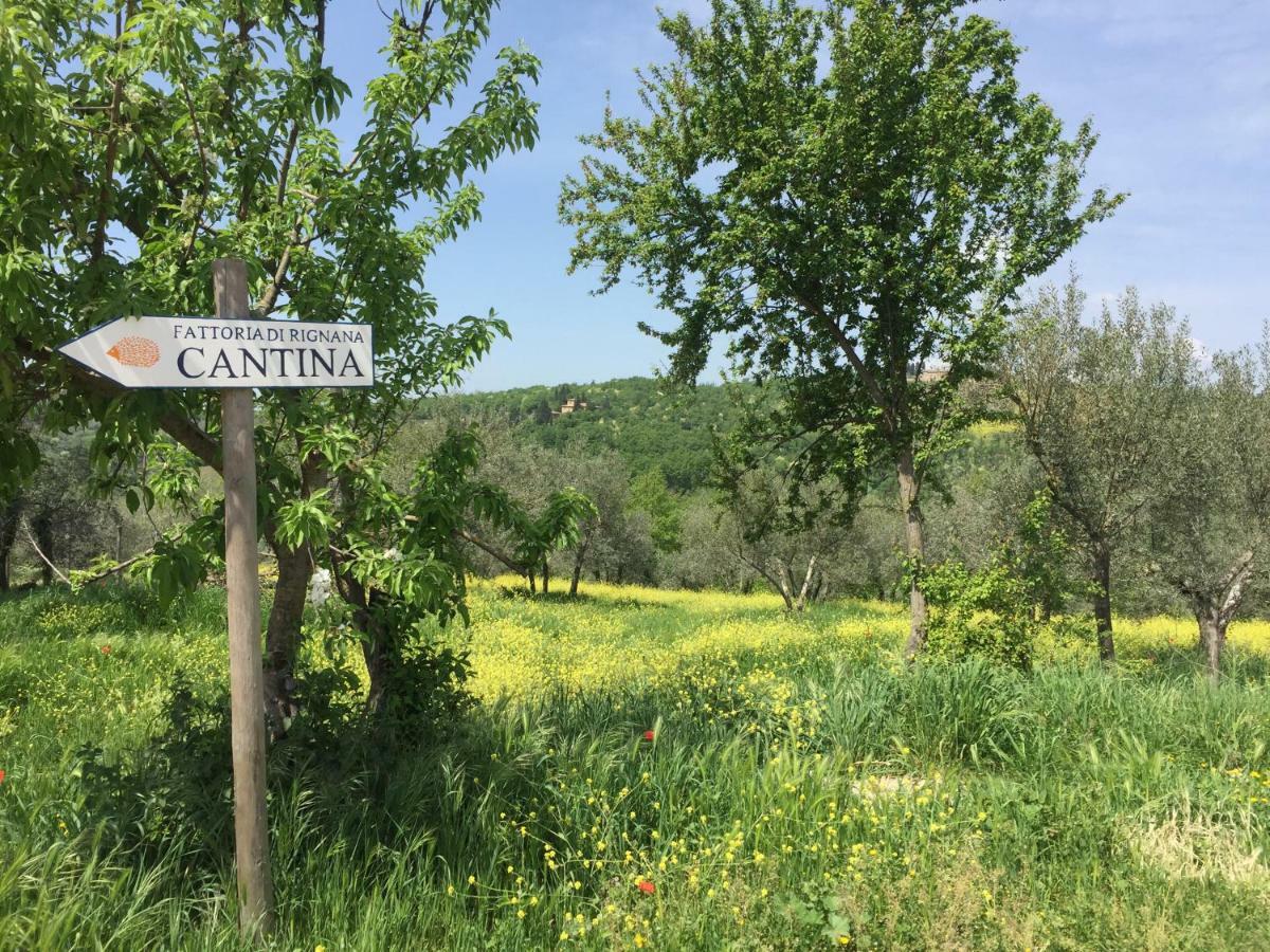 Casa Ana Lägenhet Greve in Chianti Exteriör bild